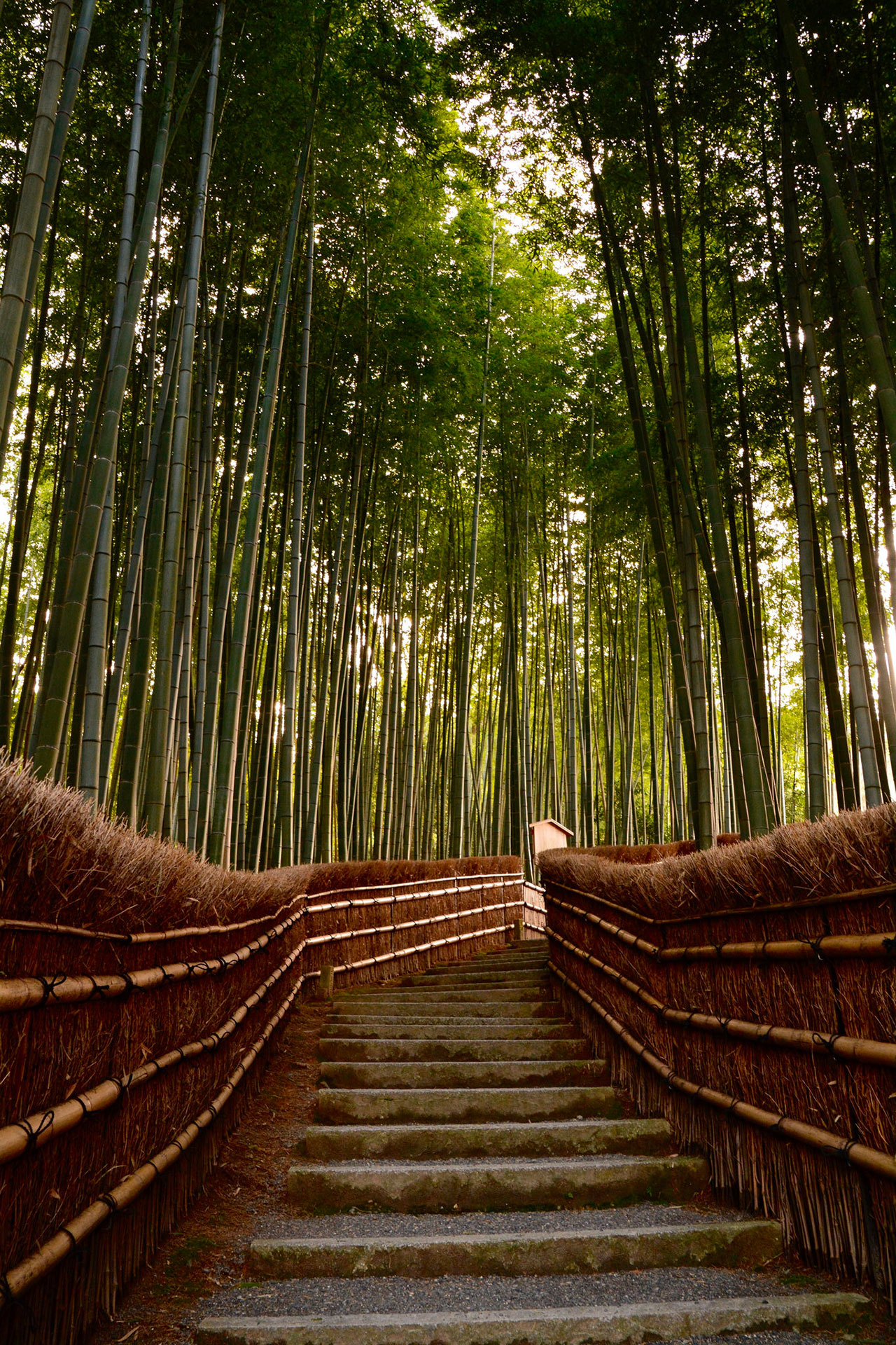 Visaland | Храм Фусими-Инари или Святилище из тысячи алых ворот (Киото)